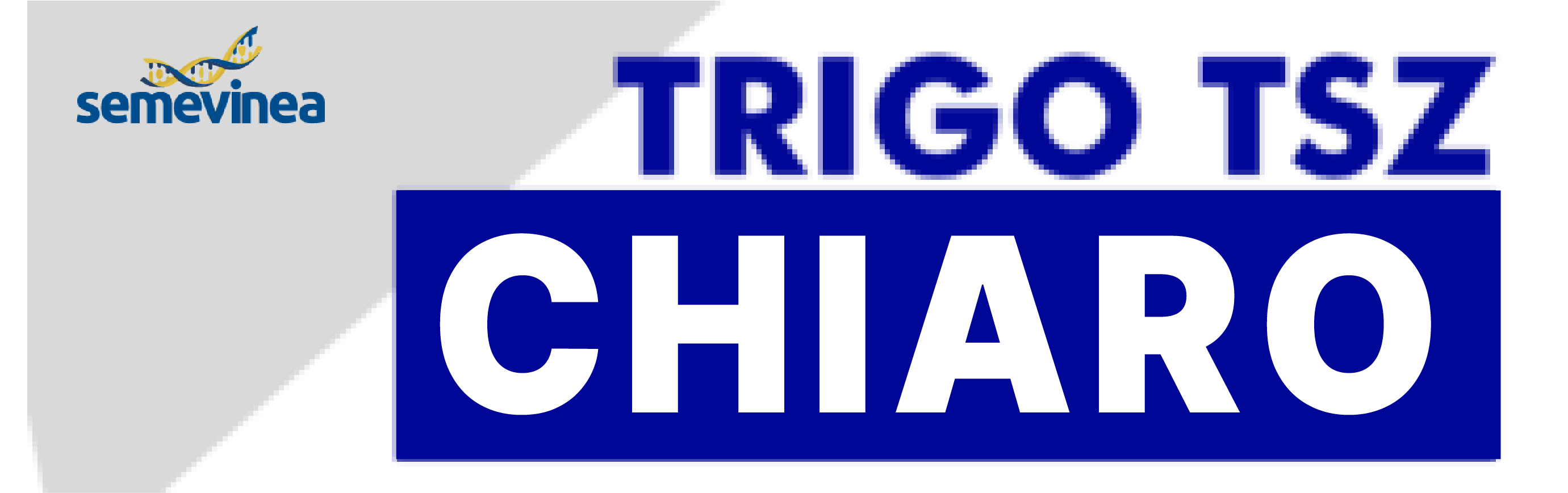 Logo do cultivar TSZ CHIARO