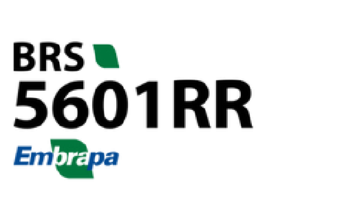Logo do cultivar BRS 5601RR