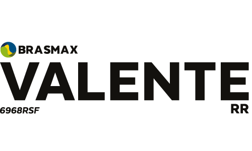 Logo do cultivar BMX VALENTE RR