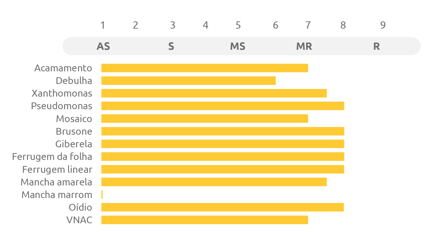Tabela do cultivar ORS Falcão